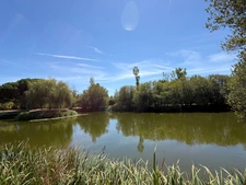 SOULLANS 85300 - DOMAINE PRIVE DE 3,2 HECTARES CLOS - PROPRIETE D'EXCEPTION AVEC GRANGES ET PRESQU'ILE