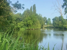 MOUTIERS SUR LAY CADRE ABSOLUMENT IDYLLIQUE VERITABLE ILE ARBOREE ET PAYSAGEE SUR LA RIVIERE A PRIX FOU