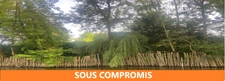MOUTIERS SUR LAY CADRE ABSOLUMENT IDYLLIQUE VERITABLE ILE ARBOREE ET PAYSAGEE SUR LA RIVIERE A PRIX FOU