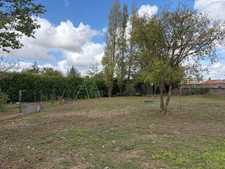 SAINTE GEMME LA PLAINE (85400) ADORABLE MAISON EN PIERRES 4/5 CHAMBRES AVEC DEPENDANCE ET JARDIN CLOS