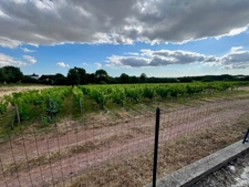 ROSNAY (85320) AU COEUR DU VIGNOBLE MAISON SUR SOUS SOL COMPLET 4 CHAMBRES AVEC VERANDA ET ANNEXES