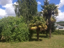 SECTEUR MAREUIL SUR LAY ET A 5 MINUTES DE LUCON SEULEMENT ADORABLE MAISON DE PLAIN PIED SUR 2000M² 