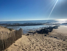 LA TRANCHE SUR MER LA GRIERE 250M DE LA PLAGE ADORABLE VILLA PLAIN PIED 3 CHAMBRES ANNEXES ET JARDIN CLOS