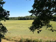 CHATEAU GUIBERT (85320) - LA MAINBORGERE - STUDIO 20M² ENTIEREMENT MEUBLE ET TOUTES CHARGES COMPRISES