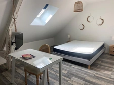 LUCON (85) COEUR DE VILLE MAISON DE CHARME ET DE CARACTERE AVEC PISCINE ET ANNEXE + 5 LOCATIFS OCCUPES