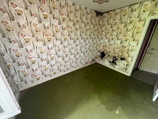 SERIGNE (85) EN CAMPAGNE SPACIEUSE MAISON EN PIERRES A RENOVER AVEC DEPENDANCES SUR 6700M² A PRIX FOU 