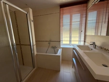VOUILLE LES MARAIS 85450 CALME ABSOLU MAGNIFIQUE PROPRIETE GRAND CONFORT AVEC DEPENDANCES ET JARDIN