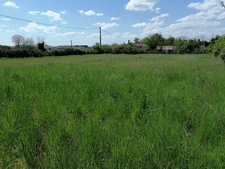 AUZAY (85200) 5 MIN FONTENAY LE COMTE CADRE CAMPAGNE SUPERBE TERRAIN A BATIR 4300M² HORS LOTISSEMENT