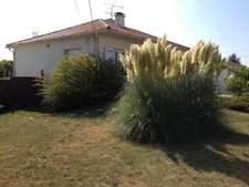 LAIROUX 85400 VILLA CONTEMPORAINE 4 CHAMBRES AVEC PISCINE GARAGE ET JARDIN PAYSAGE ENTIEREMENT CLOS