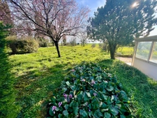SAINT ETIENNE DE BRILLOUET 85210 EN CAMAPGNE ADORABLE FERMETTE 2/3 CHAMBRES AVEC HANGAR SUR 2500M²