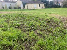 LUCON COEUR DE VILLE AVEC TOUTES LES COMMODITES A PIED RARISSIME TERRAIN A BATIR 560M² HORS LOTISSEMENT 