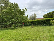 MAREUIL SUR LAY 85320 A 2 PAS D'INTERMARCHE VILLA PLAIN PIED 3 CHAMBRES AVEC GARAGE ET JARDIN CLOS