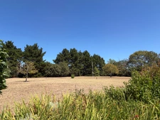 SOULLANS 85300 - DOMAINE PRIVE DE 3,2 HECTARES CLOS - PROPRIETE D'EXCEPTION AVEC GRANGES ET PRESQU'ILE