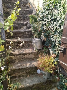 THORIGNY (85480) AU CALME ABSOLU AVEC VUE CAMPAGNE ADORABLE MAISON EN PIERRES RENOVEE GRAND CONFORT