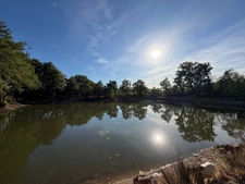 CHATEAU GUIBERT (85) CADRE IDYLLIQUE PARCELLE BOISEE DE LOISIR AVEC ETANG POISSONNEUX SUR 13000M² CLOS