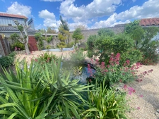 TRIAIZE 85580 A 15 MINUTES DES PLAGES ADORABLE MAISON PLAIN PIED AVEC GITE ET GARAGE SUR 550M² A BATIR