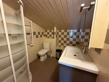 VOUILLE LES MARAIS 85450 CALME ABSOLU MAGNIFIQUE PROPRIETE GRAND CONFORT AVEC DEPENDANCES ET JARDIN