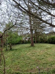 SERIGNE (85) EN CAMPAGNE SPACIEUSE MAISON EN PIERRES A RENOVER AVEC DEPENDANCES SUR 6700M² A PRIX FOU 