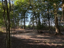 CHATEAU GUIBERT (85) CADRE IDYLLIQUE PARCELLE BOISEE DE LOISIR AVEC ETANG POISSONNEUX SUR 13000M² CLOS