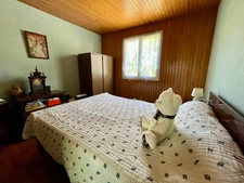 LES MAGNILS REIGNIERS 85400 ADORABLE MAISON SUR SOUS SOL COMPLET 4 CHAMBRES SUR 2732 M² A BATIR