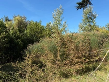 BARBATRE (85) - ILE DE NOIRMOUTIER - RARISSIME TERRAIN A BATIR 637 M² AVEC PERMIS DE CONSTRUIRE ACCORDE