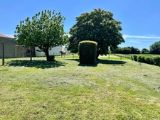 LES MAGNILS REIGNIERS 85400 ADORABLE MAISON SUR SOUS SOL COMPLET 4 CHAMBRES SUR 2732 M² A BATIR