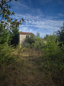 LAIROUX (85) MAISON SUR DEMI SOUS SOL A RENOVER AVEC VERANDA PISCINE ET MAISON D'AMIS SUR PARC CLOS