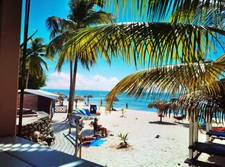 SAINT FRANCOIS (971) ANSE DES ROCHERS STUDIO/T1 B MEUBLE DANS RESIDENCE AVEC PISCINE A 2 PAS DES PLAGES