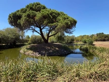 SOULLANS 85300 - DOMAINE PRIVE DE 3,2 HECTARES CLOS - PROPRIETE D'EXCEPTION AVEC GRANGES ET PRESQU'ILE