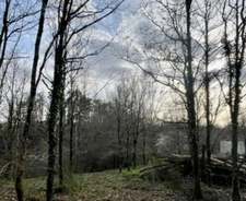 LA ROCHE SUR YON (85) RARISSIME LA COURTAISIERE PROPRIETE AVEC MAISON ET TERRAIN A BATIR SUR 4 HECTARES