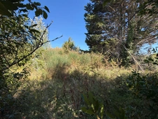 BARBATRE (85) - ILE DE NOIRMOUTIER - RARISSIME TERRAIN A BATIR 637 M² AVEC PERMIS DE CONSTRUIRE ACCORDE