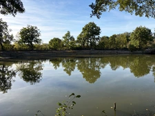 CHATEAU GUIBERT (85) CADRE IDYLLIQUE PARCELLE BOISEE DE LOISIR AVEC ETANG POISSONNEUX SUR 13000M² CLOS