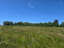 90 HECTARES DE TERRE AGRICOLE