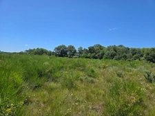 90 HECTARES DE TERRE AGRICOLE