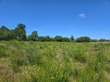 90 HECTARES DE TERRE AGRICOLE