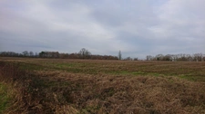 90 HECTARES DE TERRE AGRICOLE