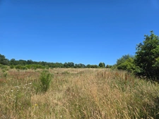 90 HECTARES DE TERRE AGRICOLE
