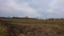 90 HECTARES DE TERRE AGRICOLE