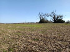 MAISON SUR SOUS SOL SUR UN TERRAIN D'ENVIRON 5000 M²