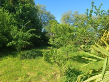 Exclusivité : Terrain constructible arboré en Cœur de Ville avec petite dépendance