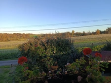 MAISON DE CAMPAGNE SUR SOUS SOL AU CALME ABSOLU.