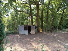 MAISON DE CAMPAGNE SUR UN TERRAIN ARBORE DE PLUS DE 1 HECTARE 300