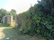  TERRAIN CONSTRUCTIBLE DE 1195 M²