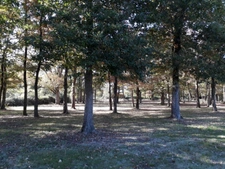 À proximité immédiate du cœur de la ville, cette demeure occupe environ 3 hectares.