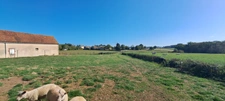 FERMETTE A RÉNOVER AVEC GRANDS BATIMENTS, DÉPENDANCES ET SES 2 HA DE TERRAINS LIBRES