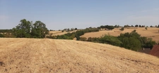 FERMETTE A RÉNOVER AVEC SES DÉPENDANCES, SUR 2,7 HA DE TERRAIN DANS CADRE BUCOLIQUE. 