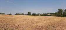 FERMETTE A RÉNOVER AVEC SES DÉPENDANCES, SUR 2,7 HA DE TERRAIN DANS CADRE BUCOLIQUE. 