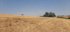 FERMETTE A RÉNOVER AVEC SES DÉPENDANCES, SUR 2,7 HA DE TERRAIN DANS CADRE BUCOLIQUE. 