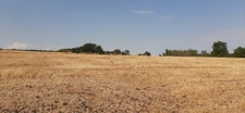 FERMETTE A RÉNOVER AVEC SES DÉPENDANCES, SUR 2,7 HA DE TERRAIN DANS CADRE BUCOLIQUE. 