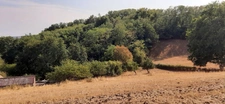 FERMETTE A RÉNOVER AVEC SES DÉPENDANCES, SUR 2,7 HA DE TERRAIN DANS CADRE BUCOLIQUE. 